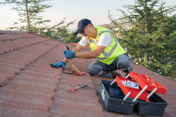 Best Roof Gutter Cleaning  in Danielson, CT